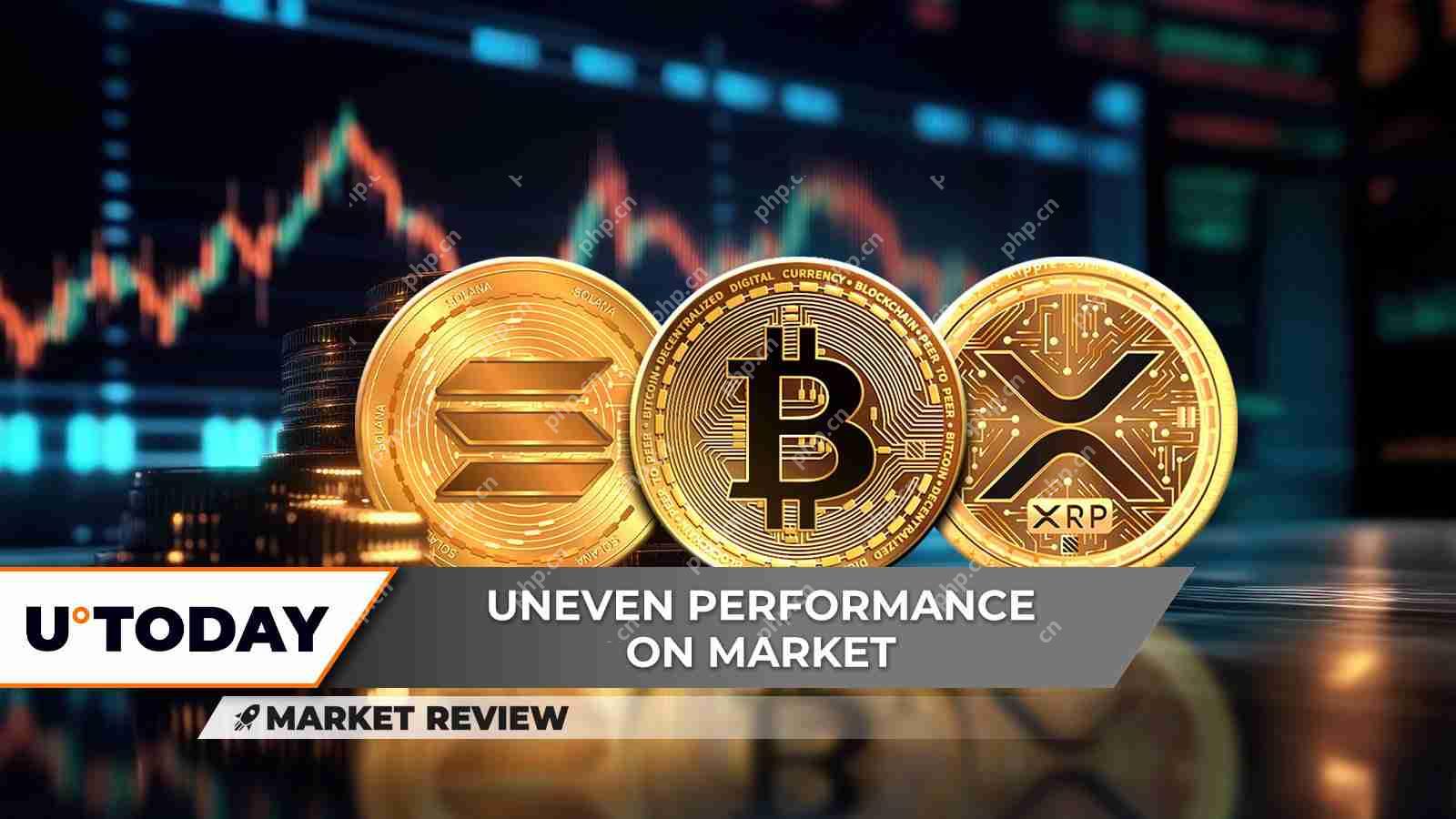 在失败的边缘，Solana显示了一些有关指标。